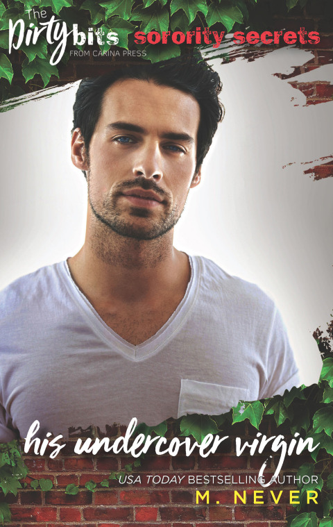 Cover image for book His Undercover Virgin