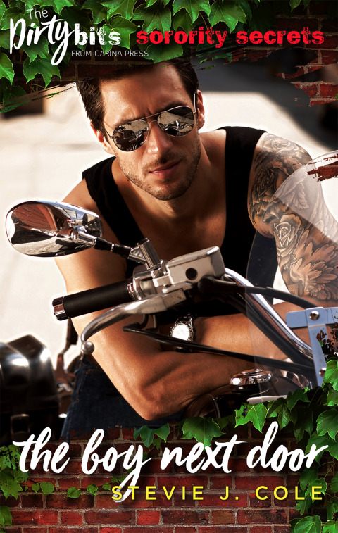 Cover image for book The Boy Next Door