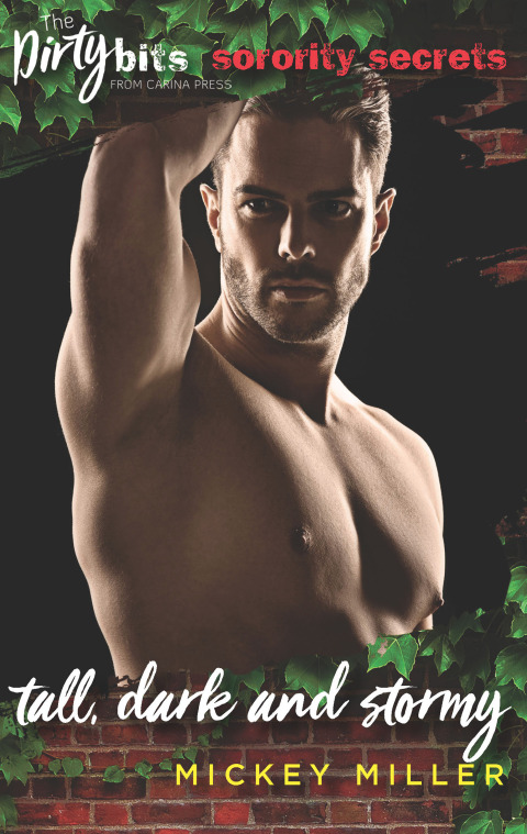 Cover image for book Tall, Dark and Stormy