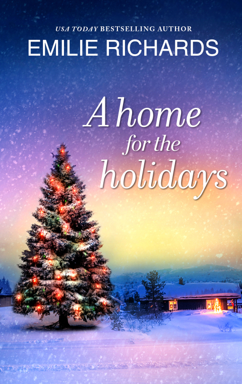 Cover image for book A Home for the Holidays