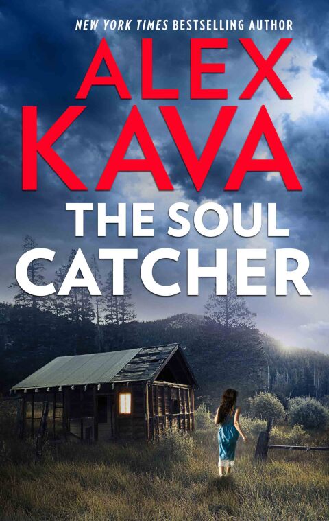 Cover image for book The Soul Catcher