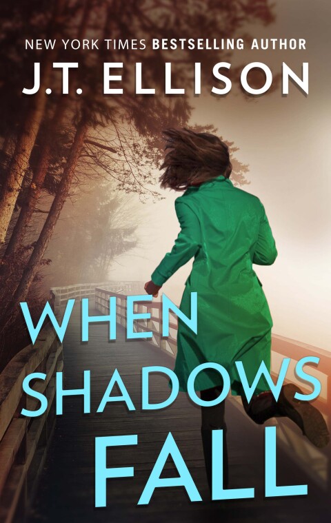 Cover image for book When Shadows Fall