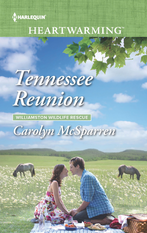 Cover image for book Tennessee Reunion