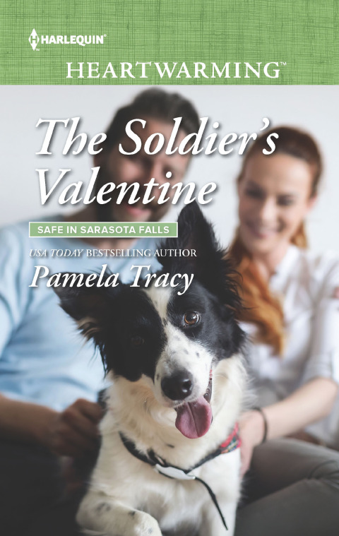 Cover image for book The Soldier's Valentine