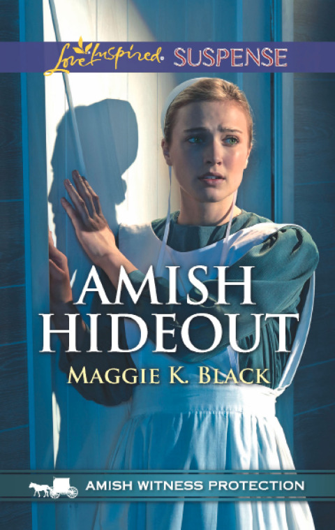 Cover image for book Amish Hideout