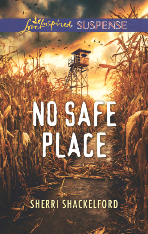Cover image for book No Safe Place