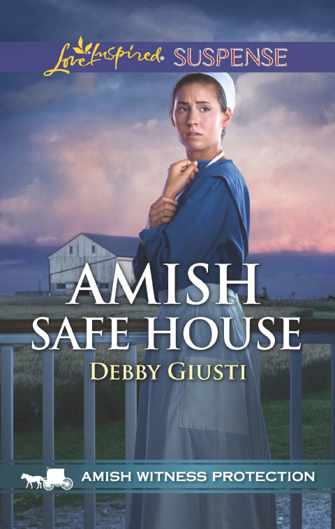 Cover image for book Amish Safe House