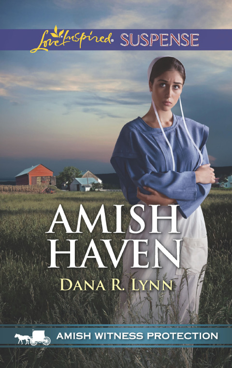 Cover image for book Amish Haven
