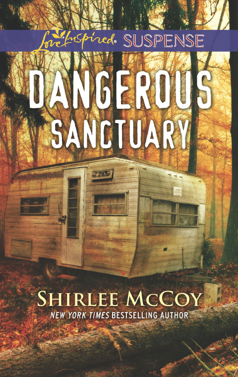 Cover image for book Dangerous Sanctuary
