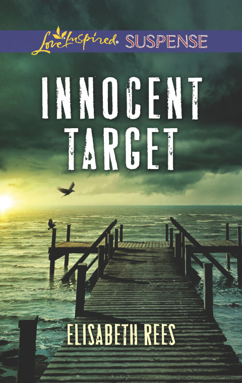 Cover image for book Innocent Target