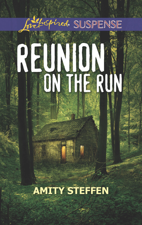Cover image for book Reunion on the Run