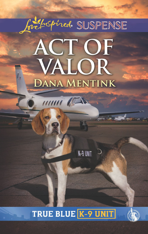 Cover image for book Act of Valor