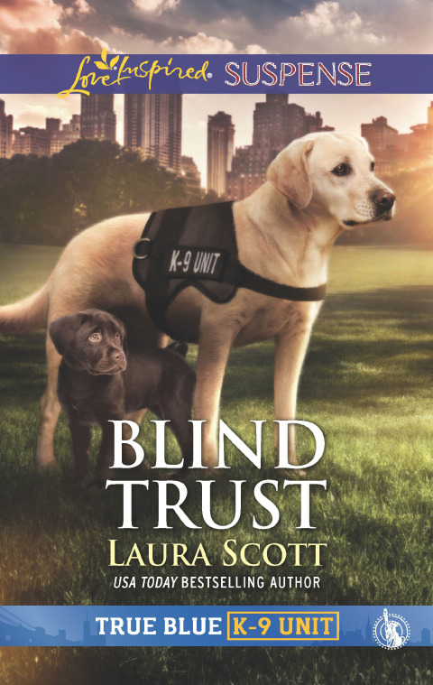 Cover image for book Blind Trust