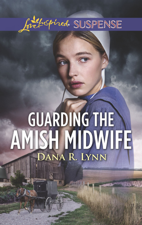 Cover image for book Guarding the Amish Midwife