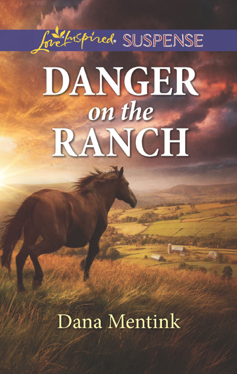 Cover image for book Danger on the Ranch