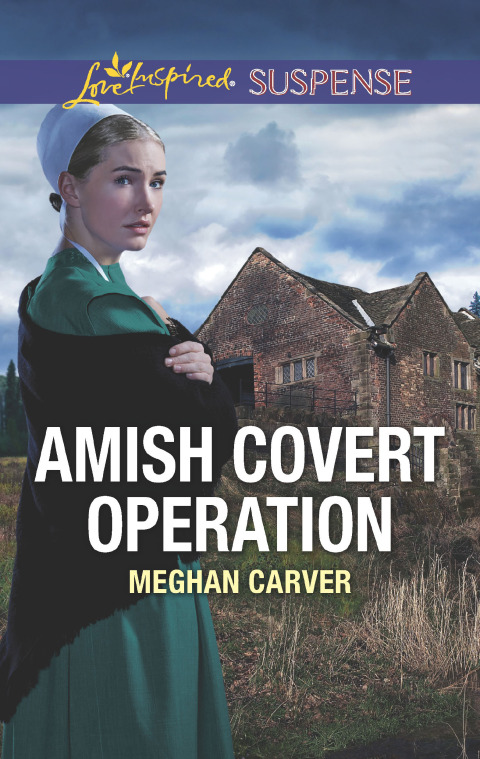 Cover image for book Amish Covert Operation