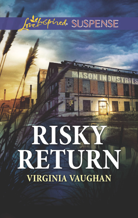 Cover image for book Risky Return