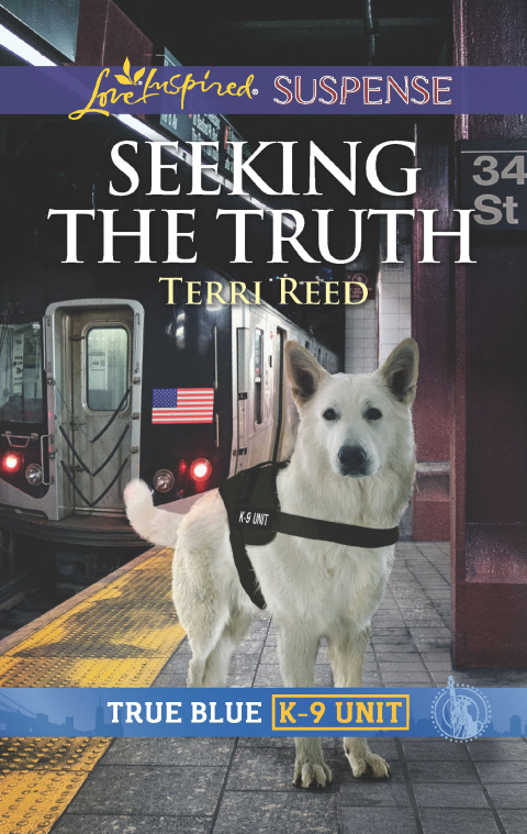 Cover image for book Seeking the Truth
