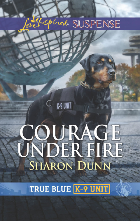Cover image for book Courage Under Fire