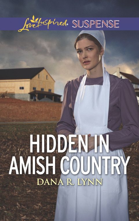 Cover image for book Hidden in Amish Country
