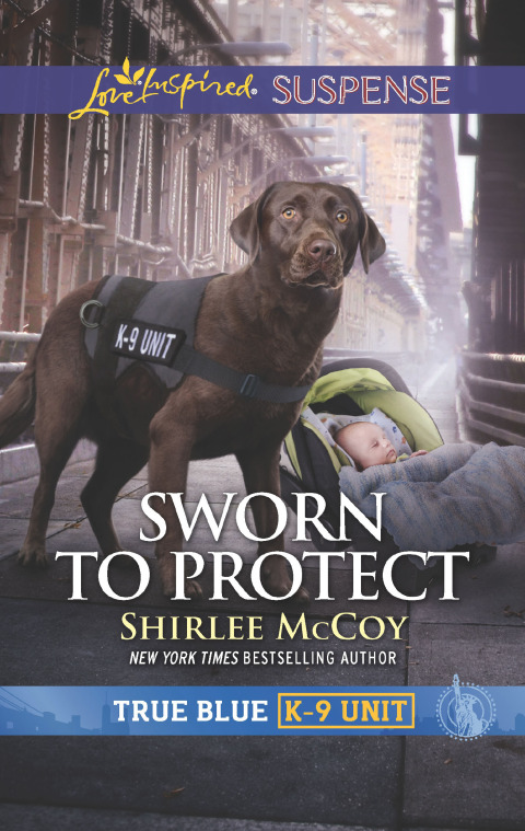 Cover image for book Sworn to Protect