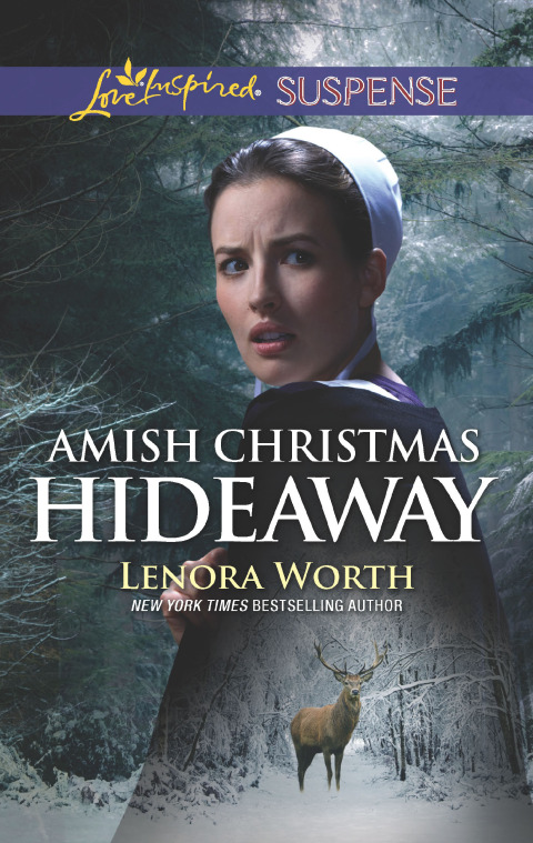 Cover image for book Amish Christmas Hideaway