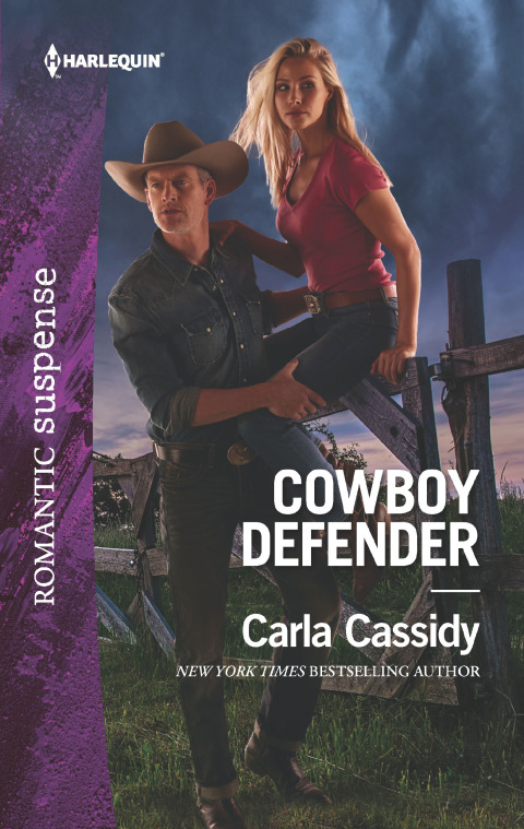 Cover image for book Cowboy Defender