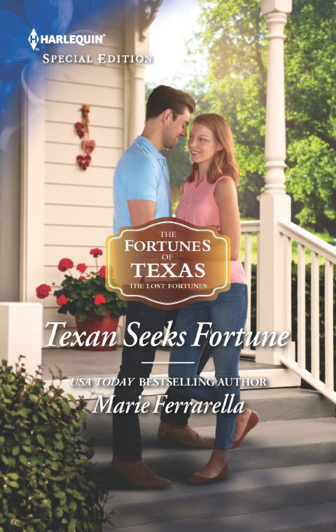 Cover image for book Texan Seeks Fortune