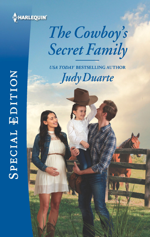 Cover image for book The Cowboy's Secret Family