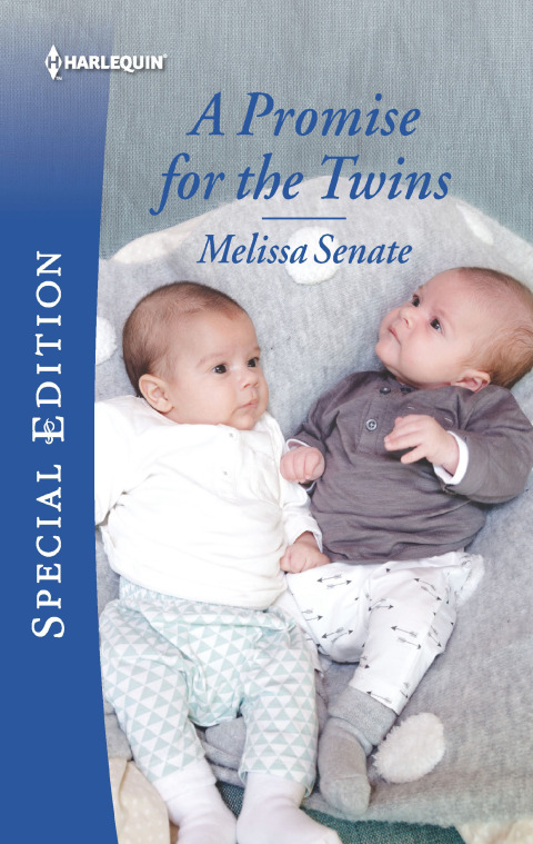 Cover image for book A Promise for the Twins