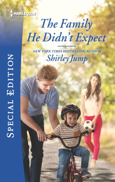 Cover image for book The Family He Didn't Expect