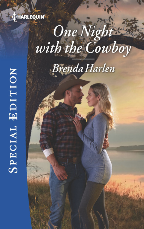 Cover image for book One Night with the Cowboy
