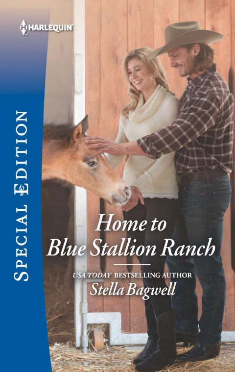 Cover image for book Home to Blue Stallion Ranch