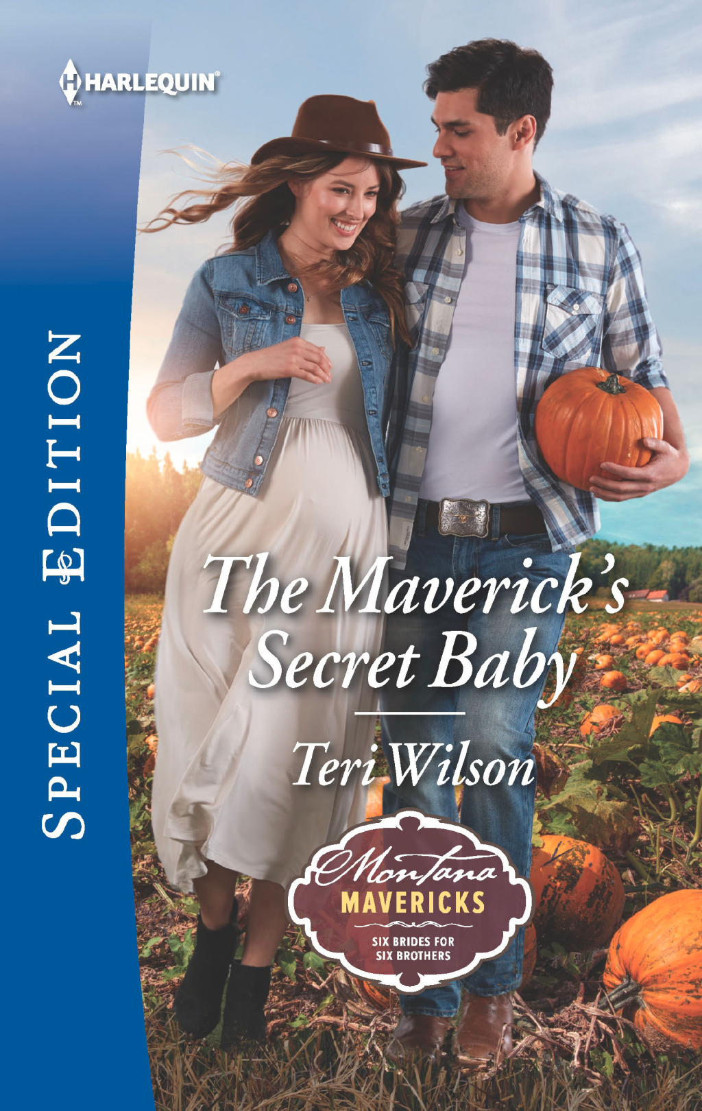 Reflowable The Maverick's Secret Baby; $6.65