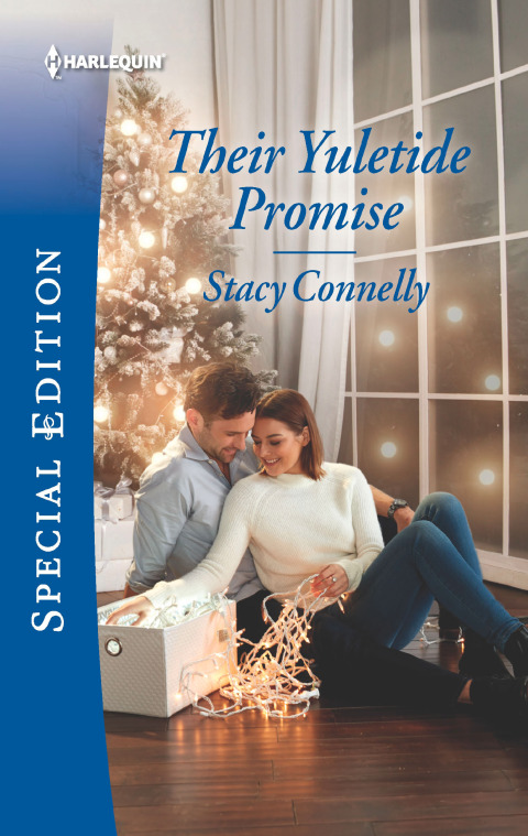 Cover image for book Their Yuletide Promise