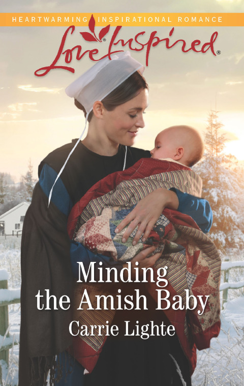 Cover image for book Minding the Amish Baby