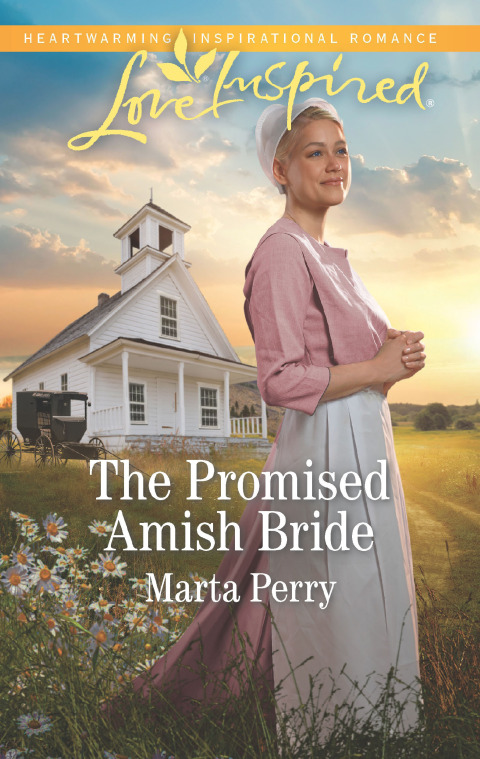 Cover image for book The Promised Amish Bride