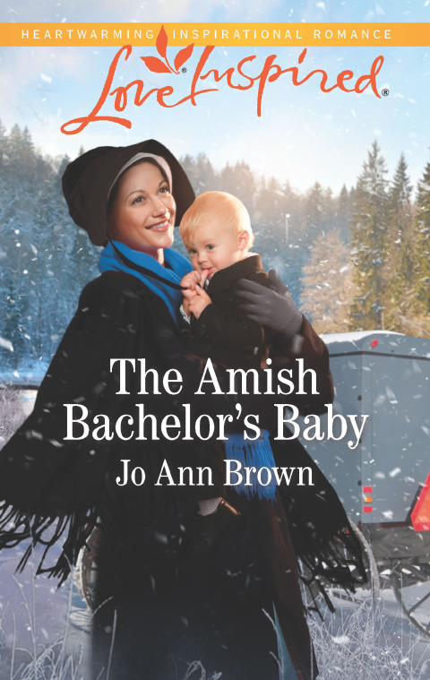 Cover image for book The Amish Bachelor's Baby