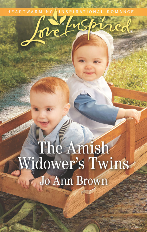 Cover image for book The Amish Widower's Twins