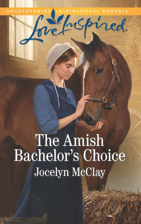 Cover image for book The Amish Bachelor's Choice