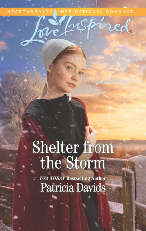 Cover image for book Shelter from the Storm