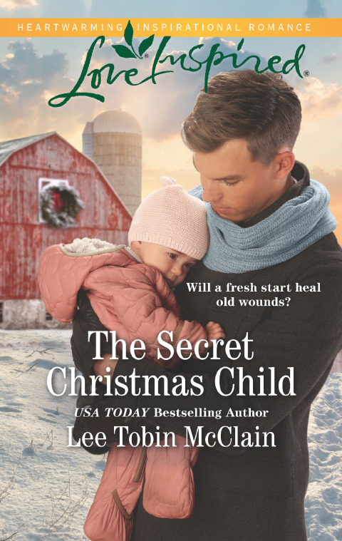 Cover image for book The Secret Christmas Child