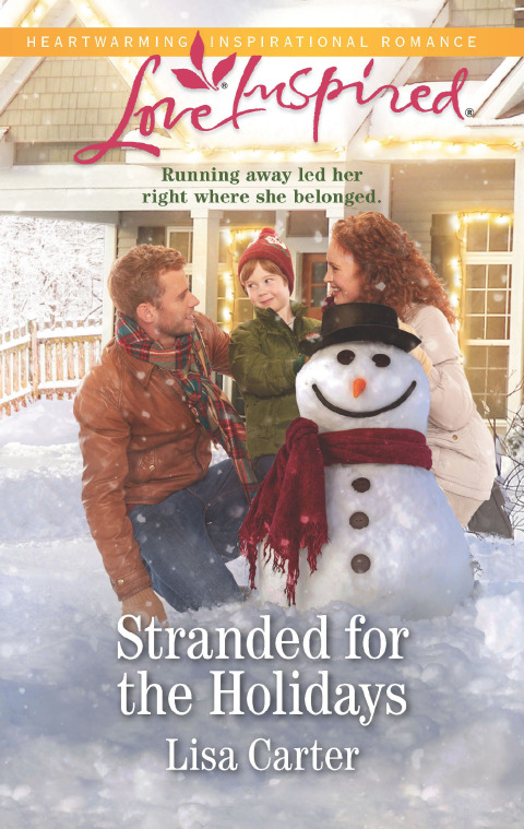 Cover image for book Stranded for the Holidays