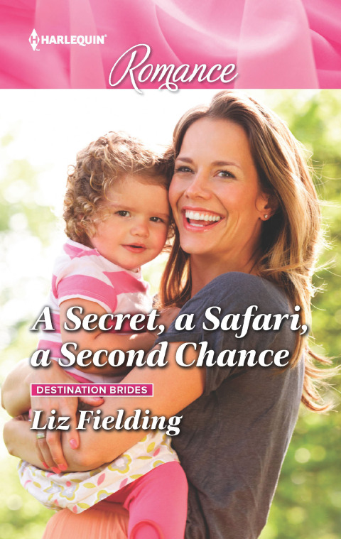 Cover image for book A Secret, a Safari, a Second Chance
