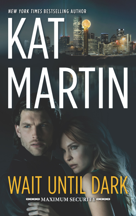 Cover image for book Wait Until Dark