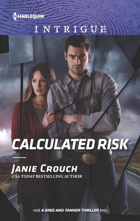 Cover image for book Calculated Risk