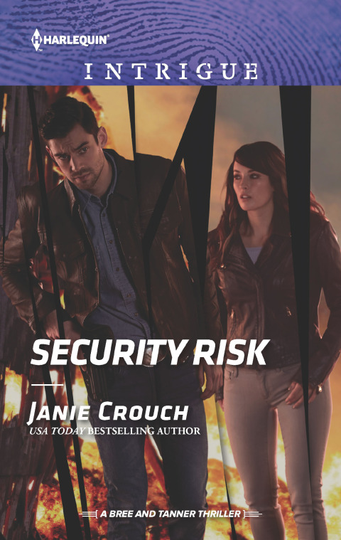 Cover image for book Security Risk