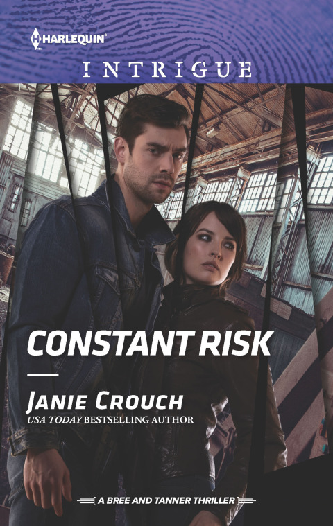 Cover image for book Constant Risk