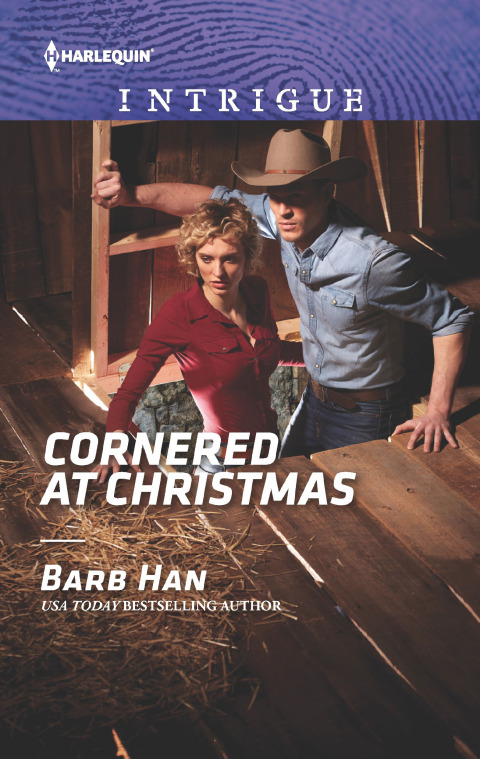 Cover image for book Cornered at Christmas