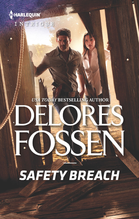 Cover image for book Safety Breach
